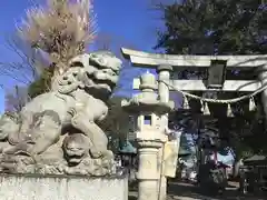 (下館)羽黒神社の狛犬