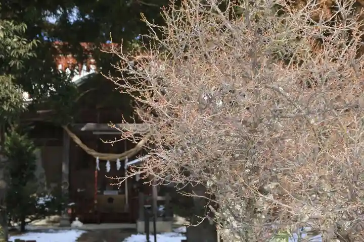 庄野菅原神社の自然