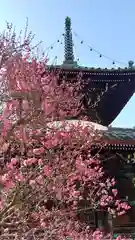 清凉寺の建物その他