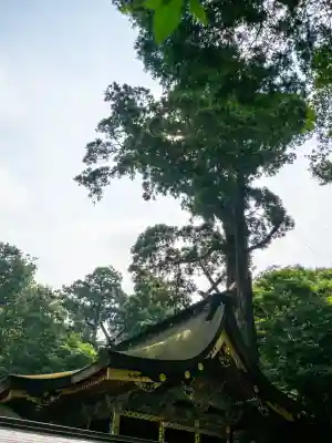 鹿島神宮(茨城県)