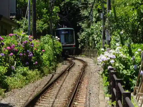 御霊神社の周辺