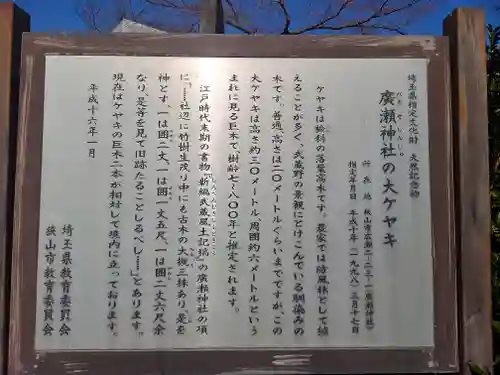 廣瀬神社(埼玉県)