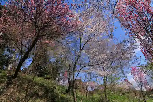 阿久津「田村神社」（郡山市阿久津町）旧社名：伊豆箱根三嶋三社の庭園