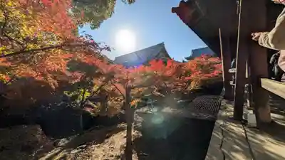 東福禅寺(東福寺)(京都府)