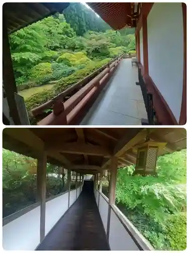 久安寺(大阪府)