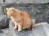 御袖天満宮の動物