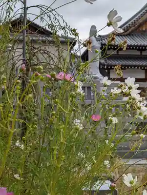 大松禅寺の自然