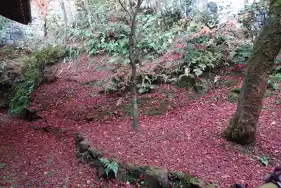禅林寺(永観堂)(京都府)