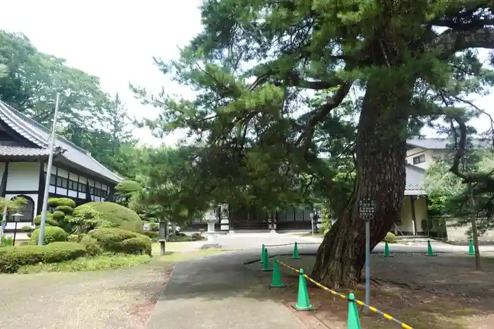 東昌寺(宮城県)