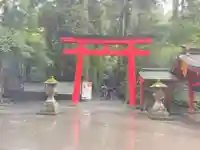 箱根神社の御朱印