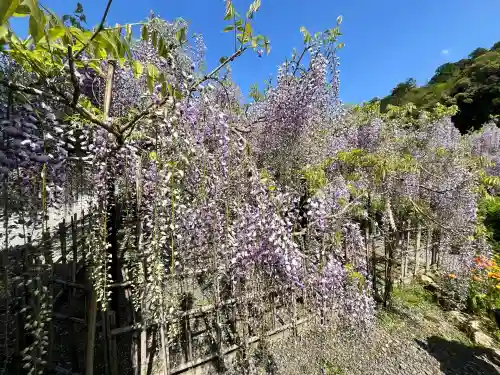 白毫寺熊野権現社(兵庫県)