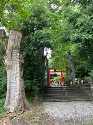 大星神社(長野県)