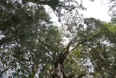 玉置神社(奈良県)