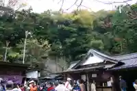銭洗弁財天宇賀福神社(神奈川県)