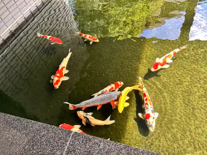 護国寺(東京都)