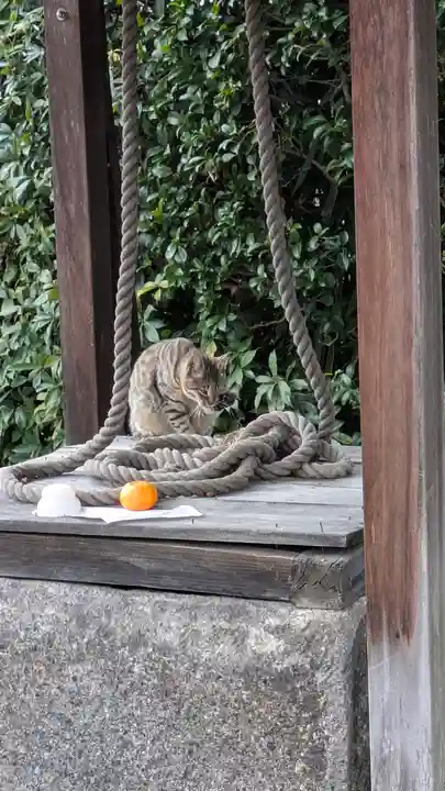 上品蓮台寺(京都府)
