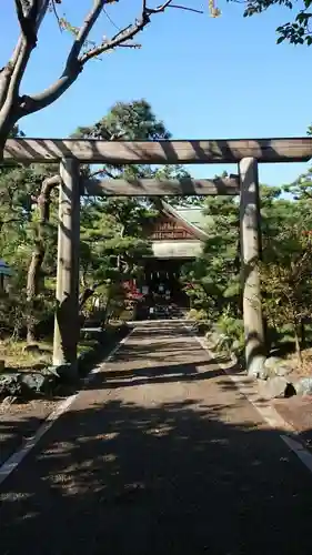 新潟大神宮の鳥居