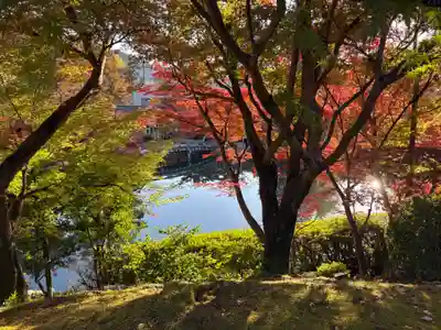 禅林寺(永観堂)(京都府)