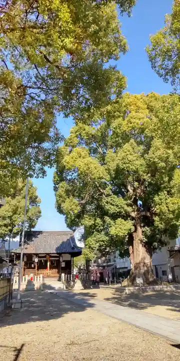 島頭天満宮(大阪府)