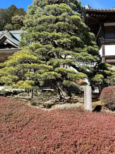 尊永寺(静岡県)