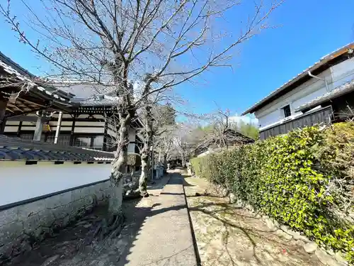蛭兒神社(滋賀県)