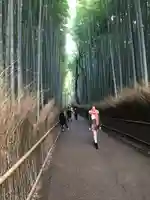 野宮神社(京都府)