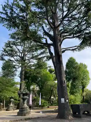 寛永寺(根本中堂)(東京都)