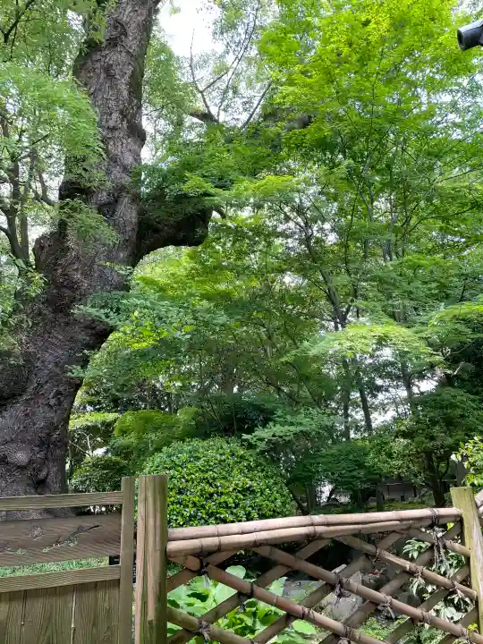 三嶋大社の{uncategorized: "未分類", other: "その他", undefined: "問題あり", building: "その他建物", grave: "お墓", sacred_gate: "鳥居", guardian: "狛犬", statue: "像", buddha: "仏像", history: "歴史", nature: "自然", garden: "庭園", animal: "動物", pagoda: "塔", temizu: "手水舎", mountain_gate: "山門・神門", sanctuary: "本殿・本堂", subordinate: "末社・摂社", art: "芸術", scenery: "景色", jizo: "地蔵", ema: "絵馬", goshuin: "御朱印", omikuji: "おみくじ", items: "授与品その他", amulet: "お守り", goshuincho: "御朱印帳", eats: "食事", festival: "お祭り", votive_dance: "神楽", shichigosan: "七五三参", wedding: "結婚式", experience: "体験その他", initially: "初詣", around: "周辺", anti_infection: "感染症対策"}