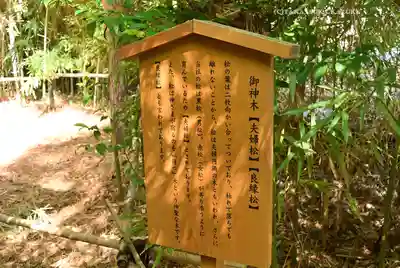 自由が丘熊野神社(東京都)