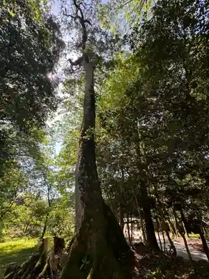 八幡宮(福井県)