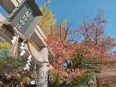 阿部野神社(大阪府)