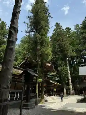 諏訪大社下社春宮の本殿・本堂