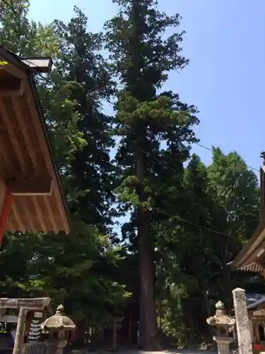 雲八幡宮の御朱印