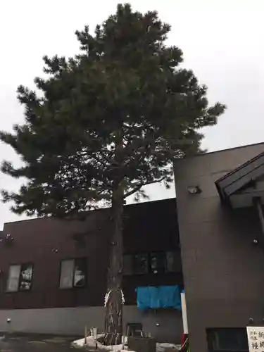 手稲神社のその他建物