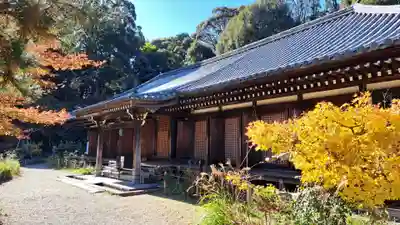 浄瑠璃寺(京都府)