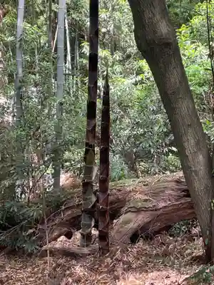 白鳥神社(徳島県)