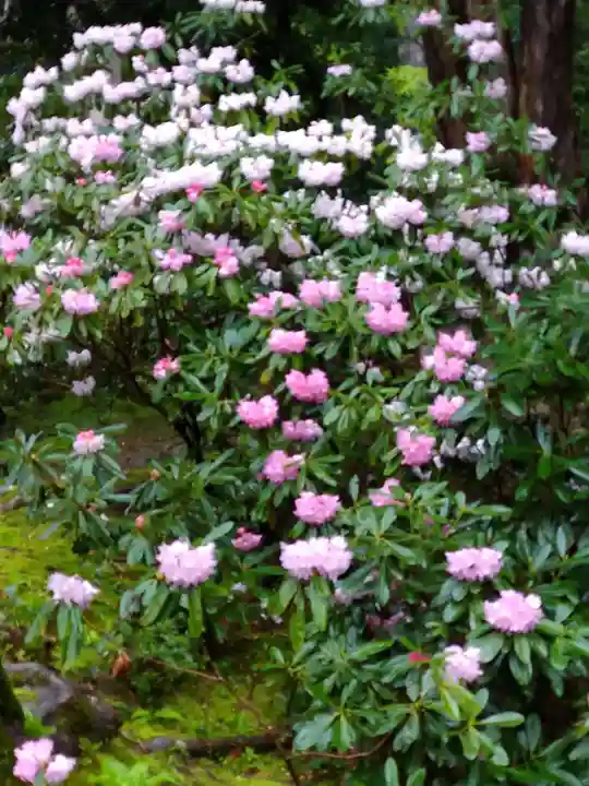 金剛輪寺(滋賀県)
