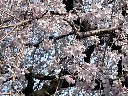 日蓮宗　浄運寺(東京都)