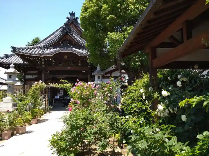 おふさ観音(観音寺)の本殿・本堂