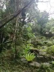 金武観音寺の庭園