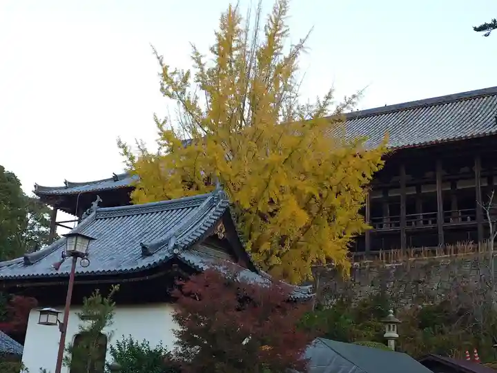 厳島神社(広島県)