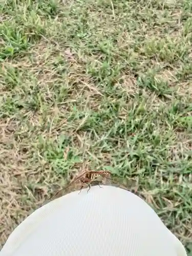 白狐山光星寺(山形県)