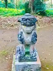 阿弥神社の狛犬