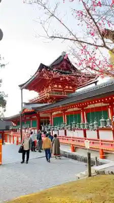 春日大社(奈良県)