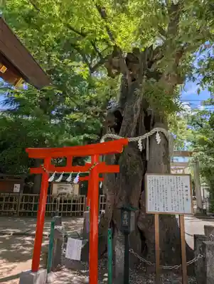 新田神社(東京都)