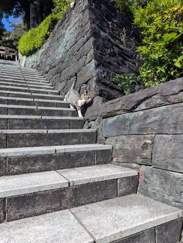 王子神社(徳島県)