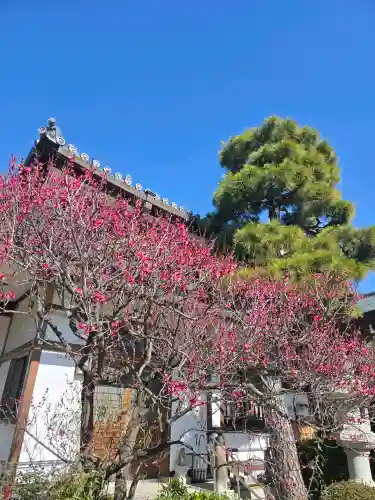 東光院の{uncategorized: "未分類", other: "その他", undefined: "問題あり", building: "その他建物", grave: "お墓", sacred_gate: "鳥居", guardian: "狛犬", statue: "像", buddha: "仏像", history: "歴史", nature: "自然", garden: "庭園", animal: "動物", pagoda: "塔", temizu: "手水舎", mountain_gate: "山門・神門", sanctuary: "本殿・本堂", subordinate: "末社・摂社", art: "芸術", scenery: "景色", jizo: "地蔵", ema: "絵馬", goshuin: "御朱印", omikuji: "おみくじ", items: "授与品その他", amulet: "お守り", goshuincho: "御朱印帳", eats: "食事", festival: "お祭り", votive_dance: "神楽", shichigosan: "七五三参", wedding: "結婚式", experience: "体験その他", initially: "初詣", around: "周辺", anti_infection: "感染症対策"}