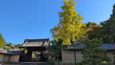隨心院(随心院)(京都府)