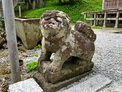 儛草神社の狛犬