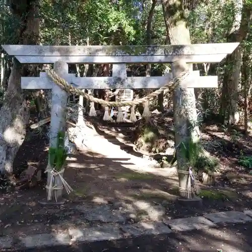 白幡神社の鳥居